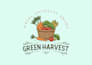 do professional hand drawn vintage logo design illustration